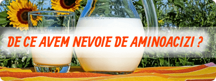 De ce avem nevoie de toti aminoacizii De ce avem nevoie de toti aminoacizii