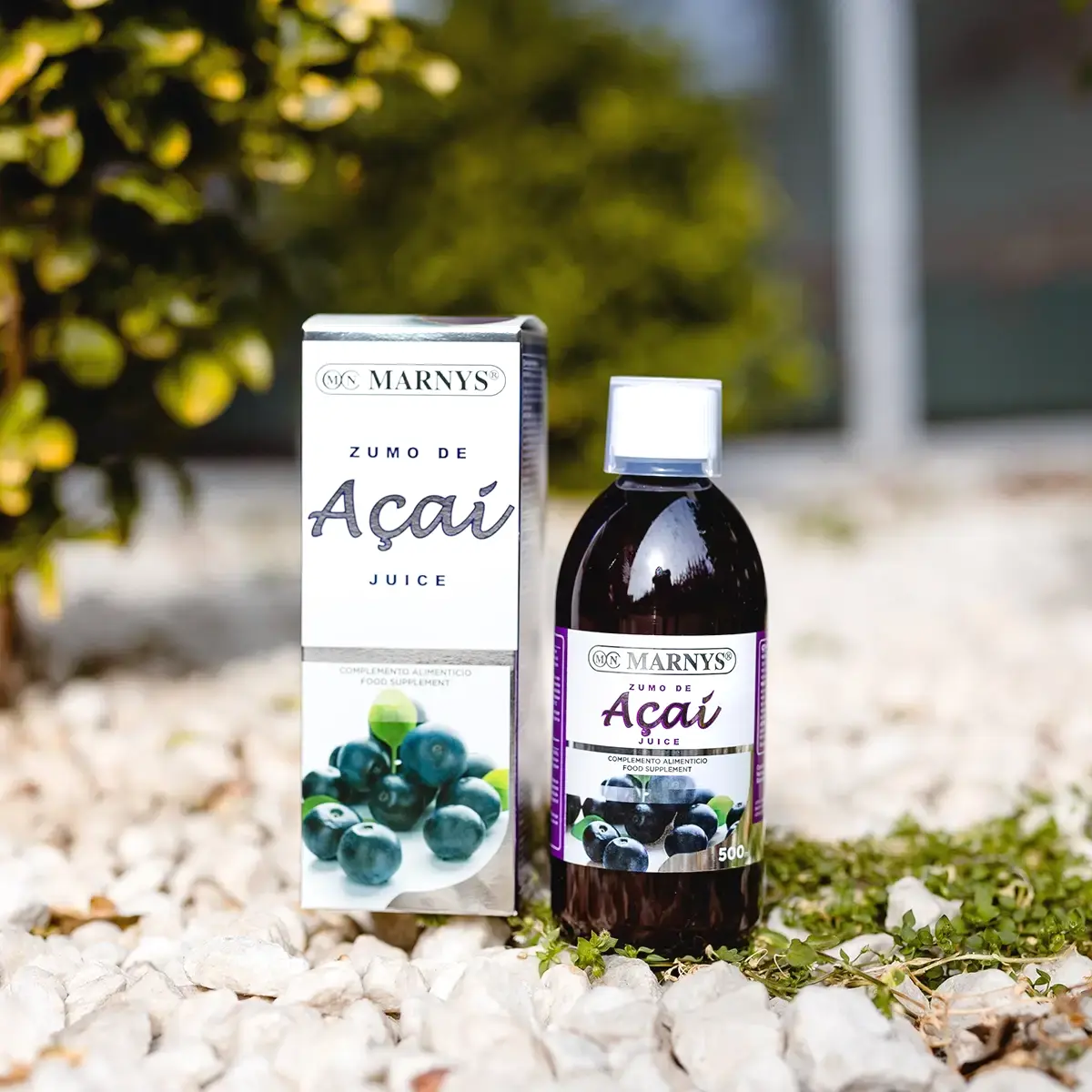 Suc de acai1
