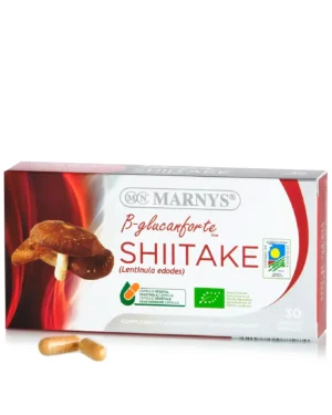 Shiitake (Lentinula edodes) – Antibacterian, Antioxidant, Imunitate, Energie – Produs Bio, 100% Natural – 30 Capsule
