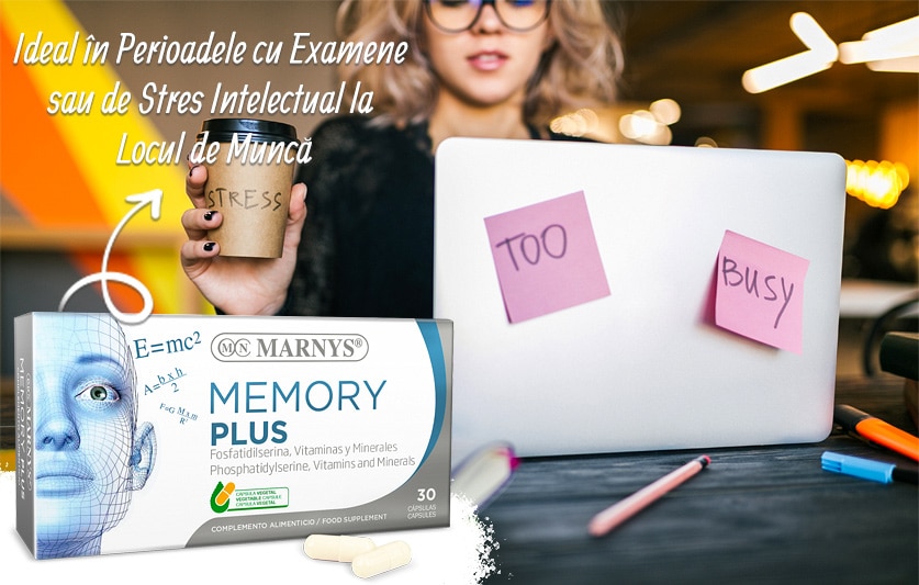 Supliment-pentru-stresul-intelectual
