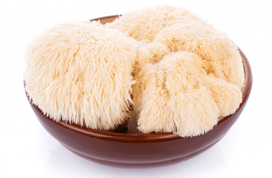 Hericium