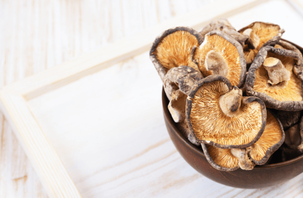 Shiitake