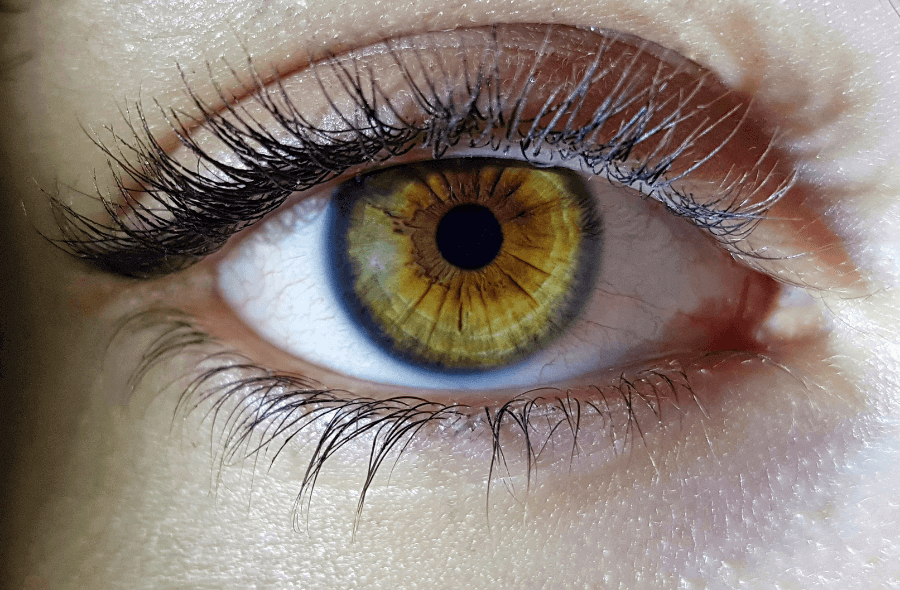 Glucozamina pentru sanatatea ochilor Beneficii glucozamina