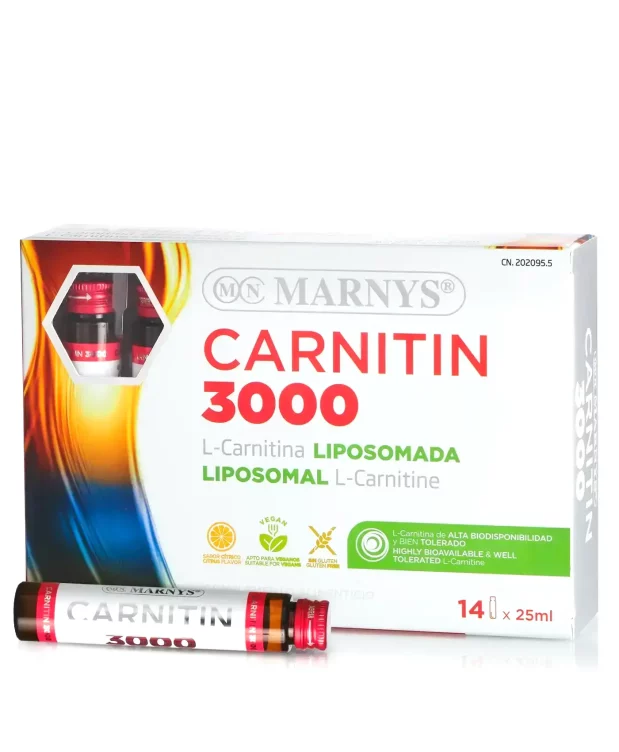 l carnitina fiole pret L-Carnitină Lipozomală cu 3000 mg – Produs Vegan – 14 Fiole