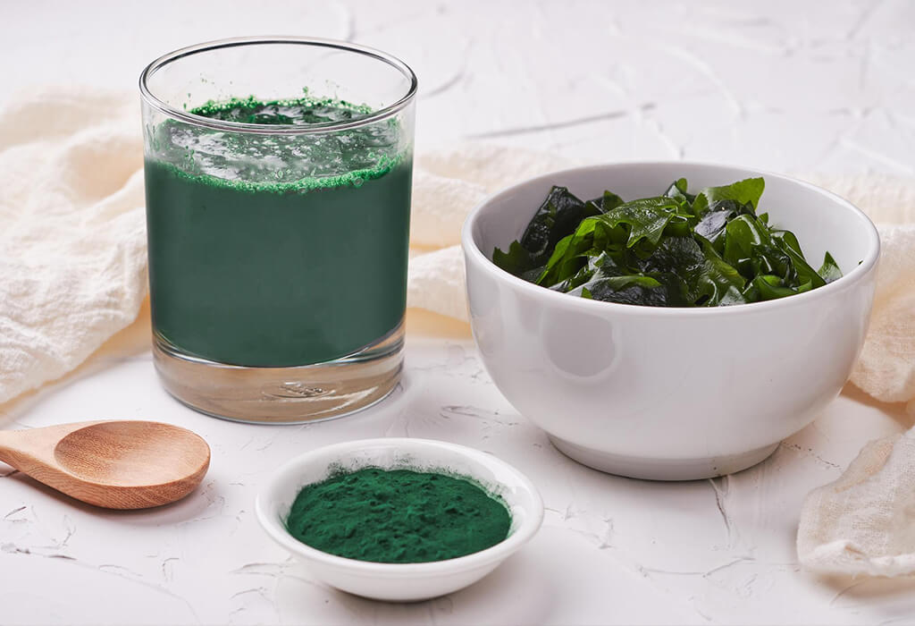 Spirulina-alga-albastra