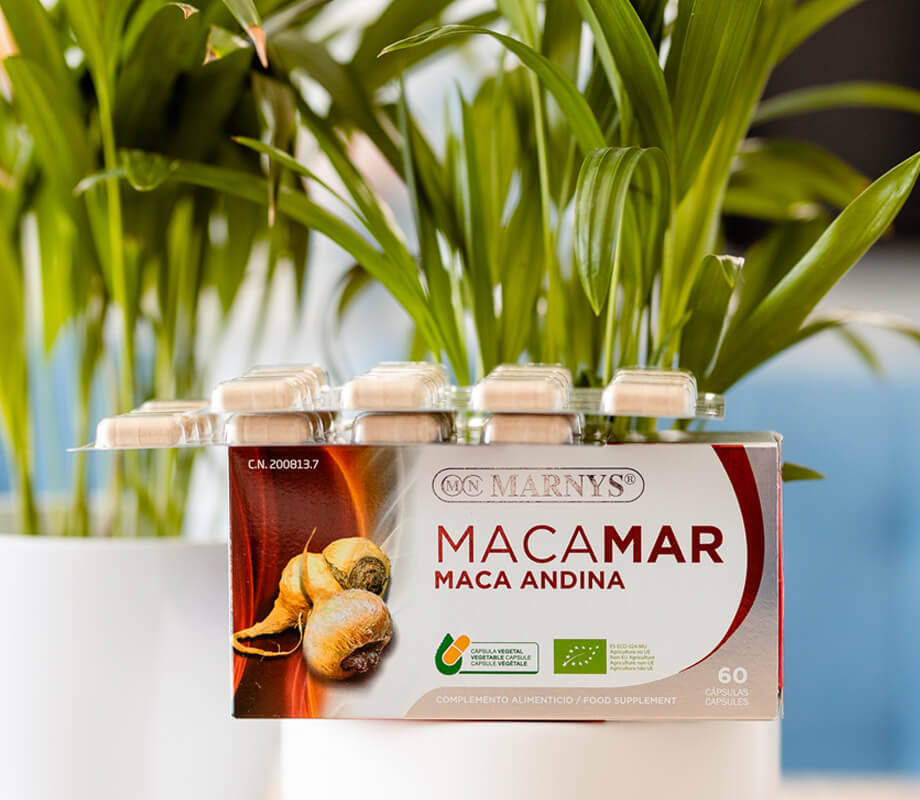 Ce este maca andina Ce este maca andina