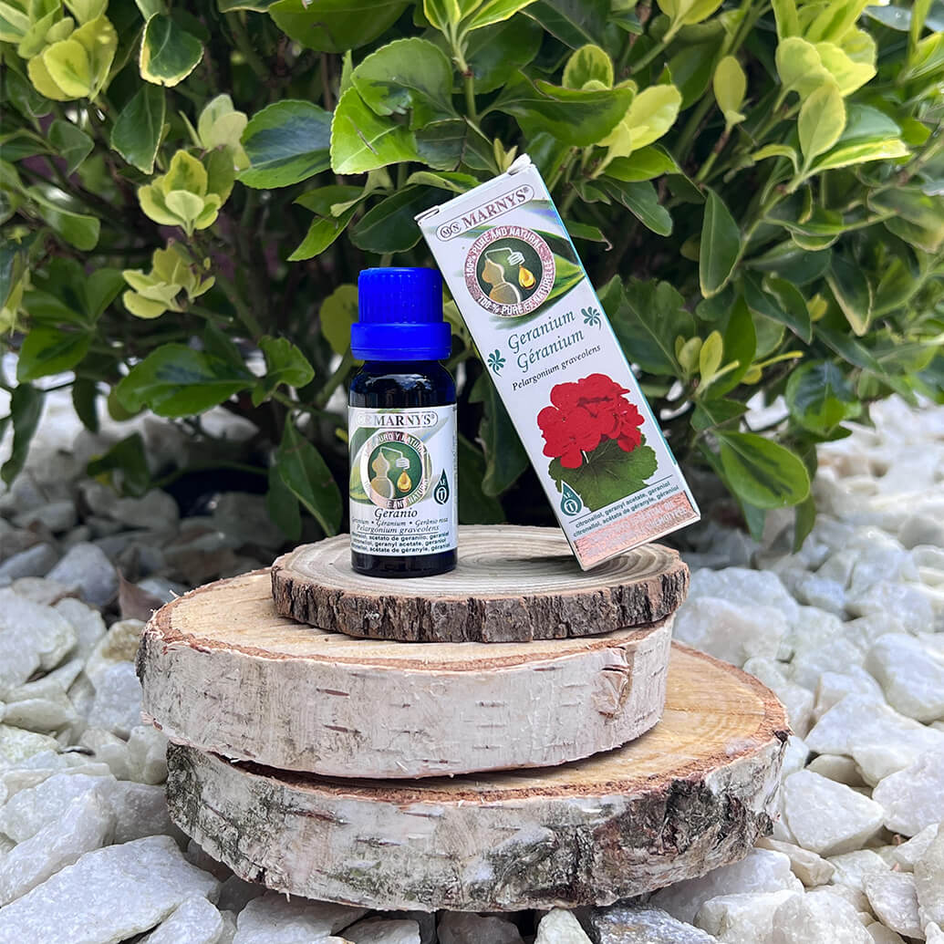 Ulei esential de muscata – mod de obtinere si intrebuintari Ulei esential de muscata – mod de obtinere si intrebuintari