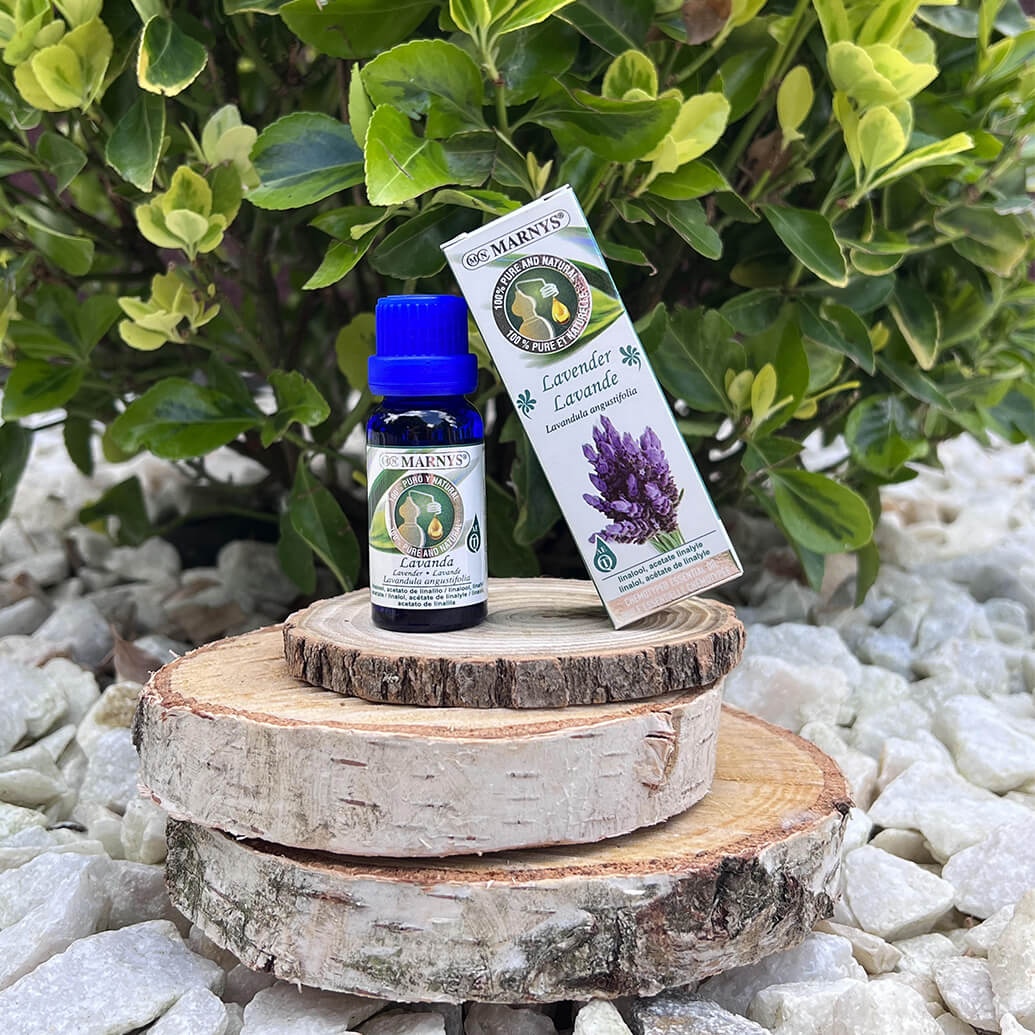 Uleiul esential de lavanda – mod de obtinere si utilizari Uleiul esential de lavanda – mod de obtinere si utilizari