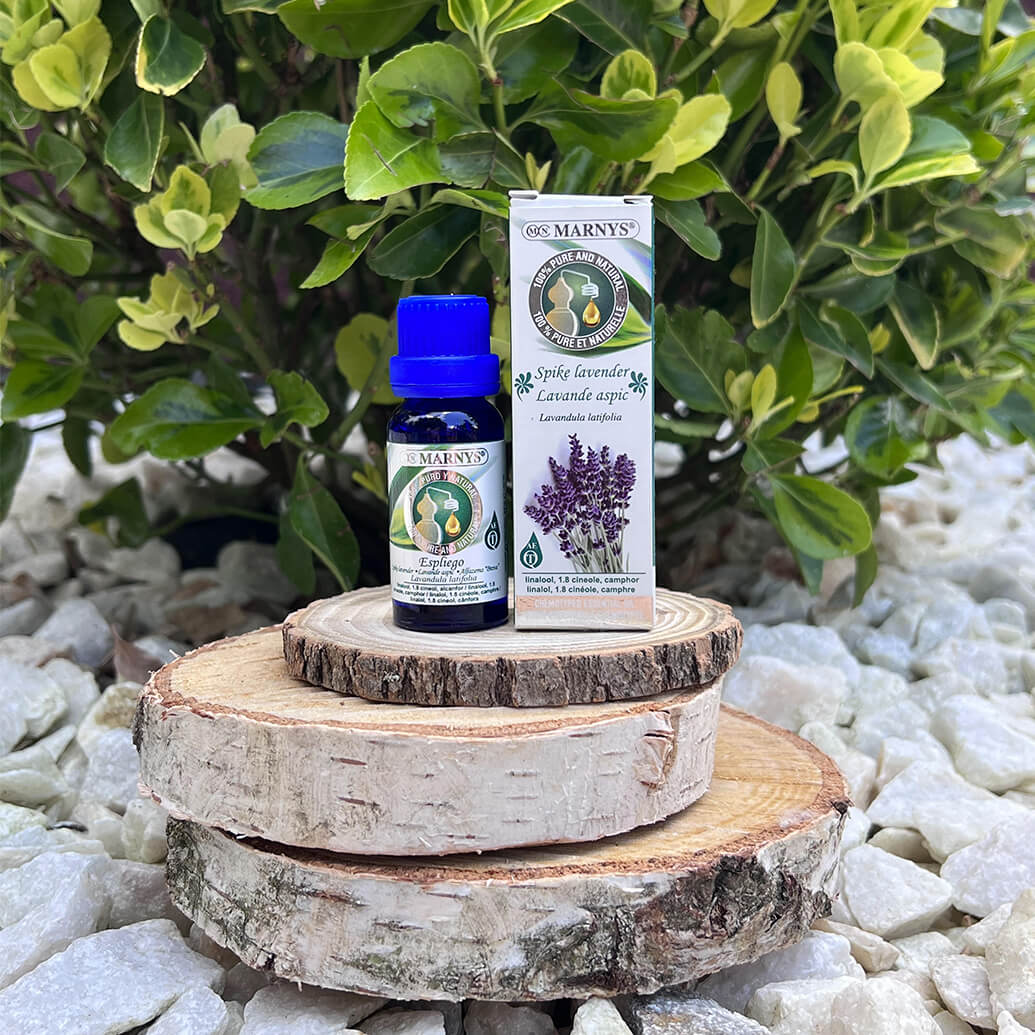 Lavanda portugheza (lavandula latifolia) – origine si beneficii asupra organismului Lavanda portugheza (lavandula latifolia) – origine si beneficii asupra organismului