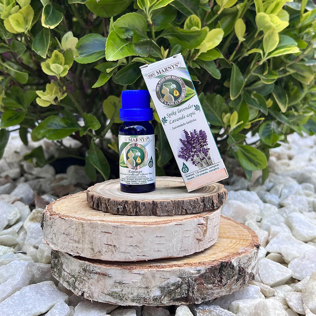 Uleiul esential de lavandula latifolia – mod de obtinere si intrebuintari Uleiul esential de lavandula latifolia – mod de obtinere si intrebuintari