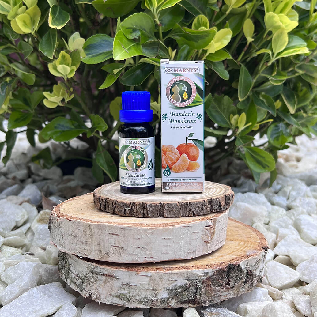 Mandarina (citrus reticulata) – fructul vesel si delicios din natura Mandarina (citrus reticulata) – fructul vesel si delicios din natura