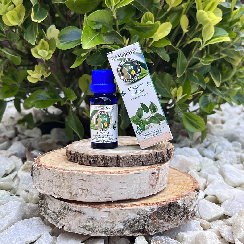 Uleiul esential de oregano – mod de obtinere si utilizari Uleiul esential de oregano – mod de obtinere si utilizari