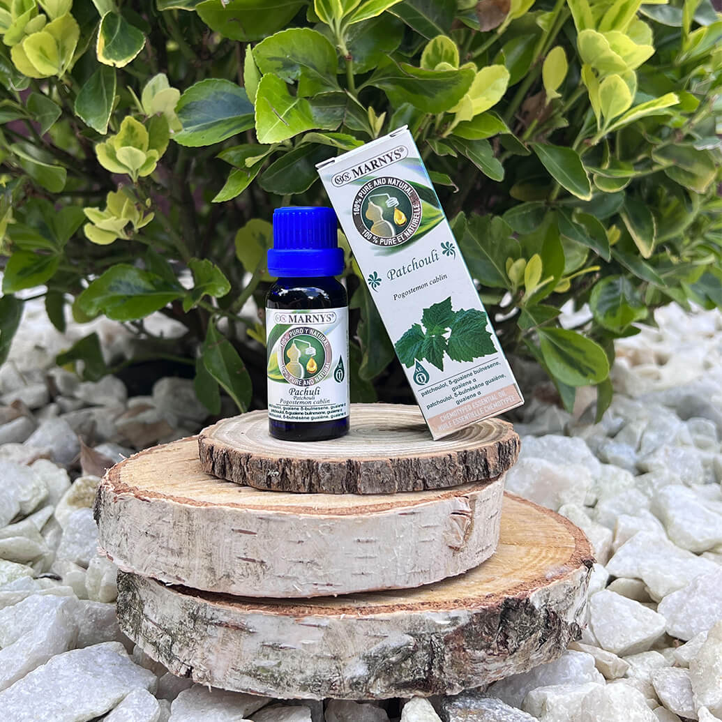 Uleiul esential de patchouli – mod de obtinere si beneficii asupra organismului Uleiul esential de patchouli – mod de obtinere si beneficii asupra organismului