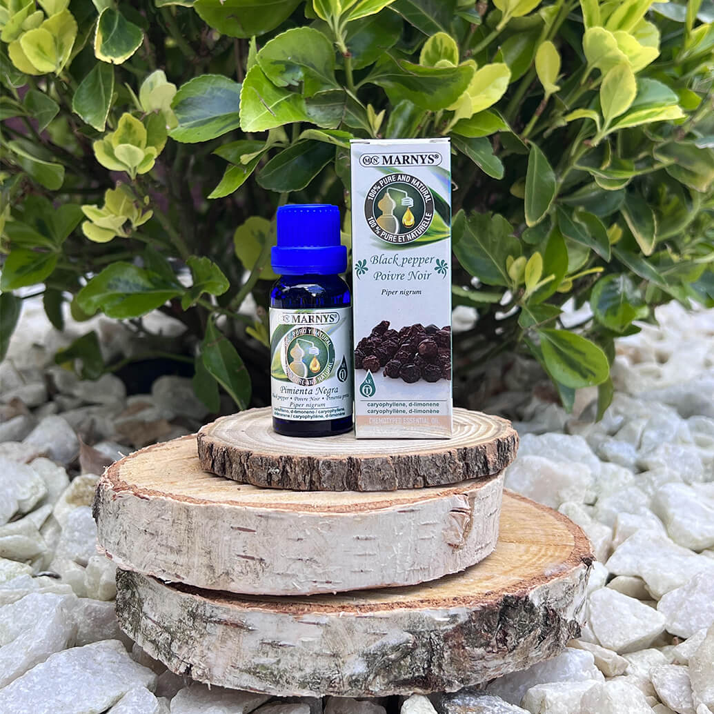 Planta de piper (piper nigrum) – provenienta si utilizari Planta de piper (piper nigrum) – provenienta si utilizari