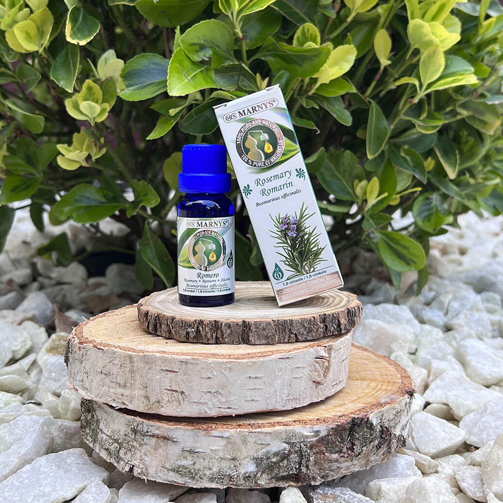 Uleiul esential de rozmarin (rosemary) – mod de obtinere si intrebuintari Uleiul esential de rozmarin (rosemary) – mod de obtinere si intrebuintari