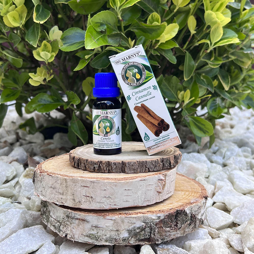 Uleiul esential de scortisoara – mod de obtinere si intrebuintari Uleiul esential de scortisoara – mod de obtinere si intrebuintari