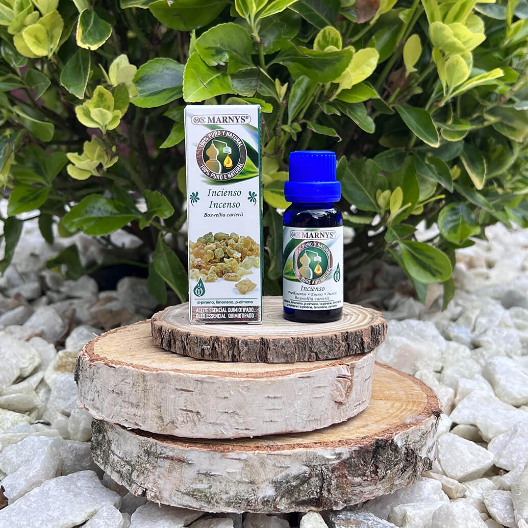 Arborele de tamaie (boswellia carterii) – supranumit si “arborele sacru” Arborele de tamaie (boswellia carterii) – supranumit si “arborele sacru”