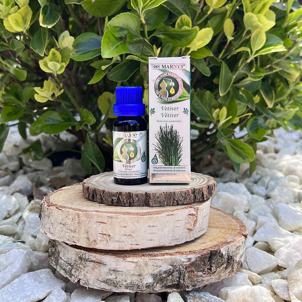 Vetiver (vetiveria zizanioides) – iarba aromata din familia gramineelor Vetiver (vetiveria zizanioides) – iarba aromata din familia gramineelor