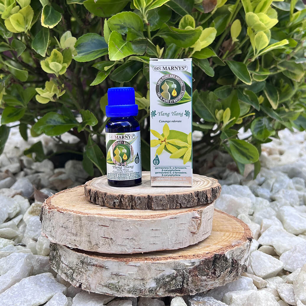 Ylang ylang – floarea exotica cu mireasme dulci Ylang ylang – floarea exotica cu mireasme dulci