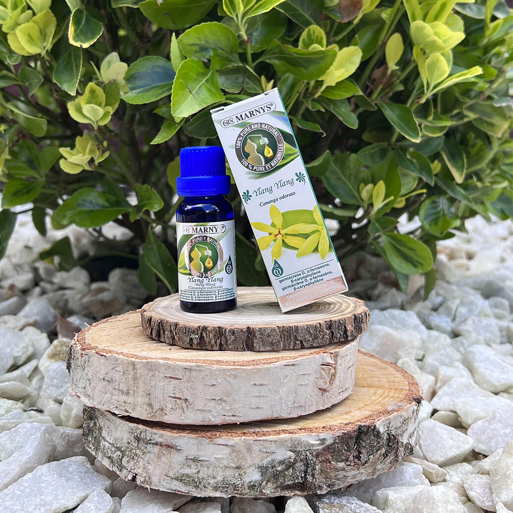 Uleiul esential de ylang ylang – mod de obtinere si intrebuintari Uleiul esential de ylang ylang – mod de obtinere si intrebuintari