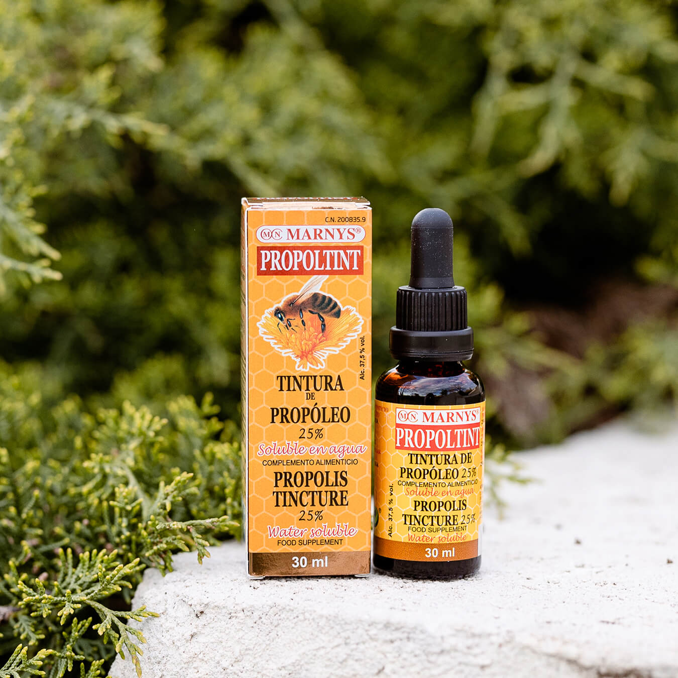 Beneficiile propoltint din gradina sanatatii Beneficiile propoltint din gradina sanatatii