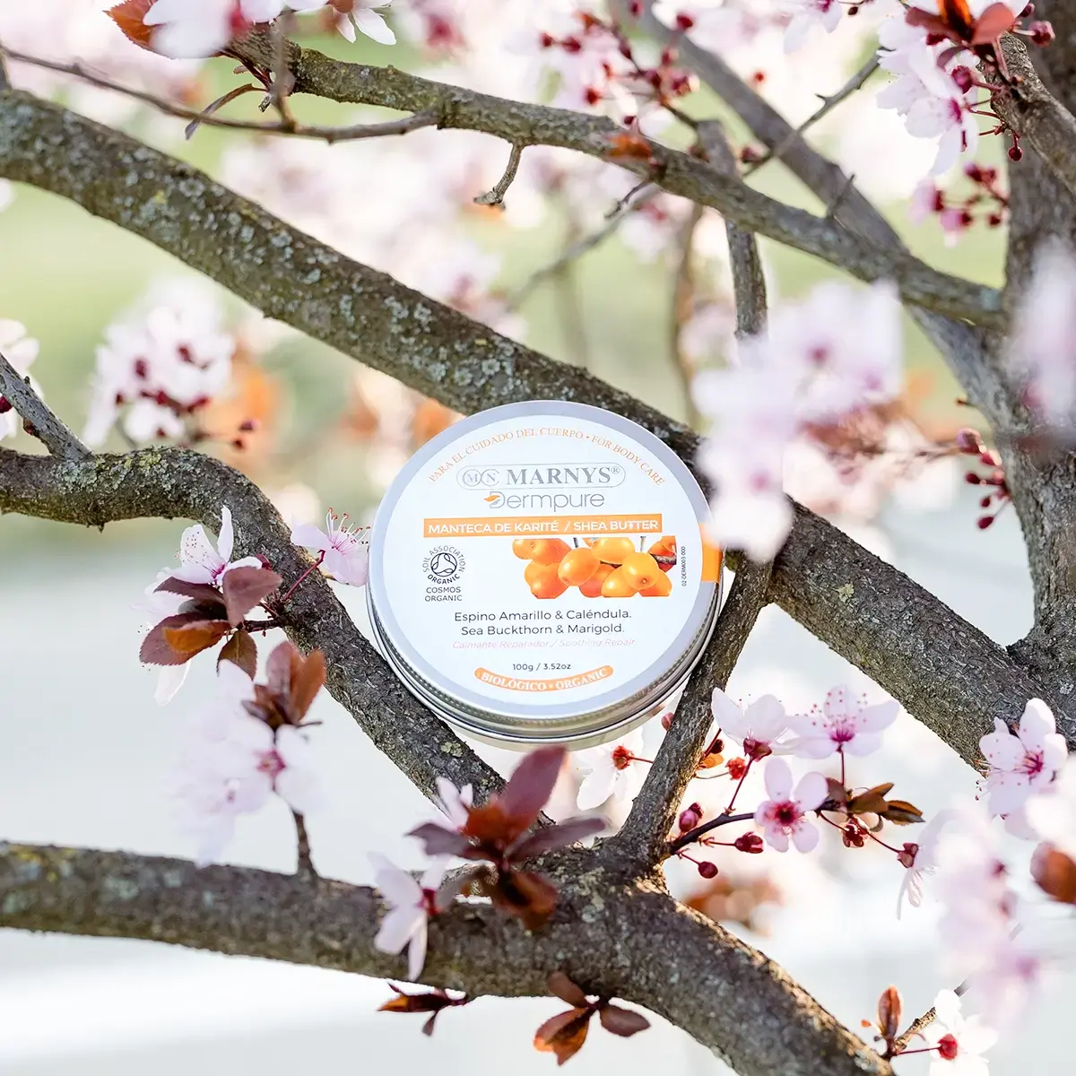 Crema shea butter galbenele1