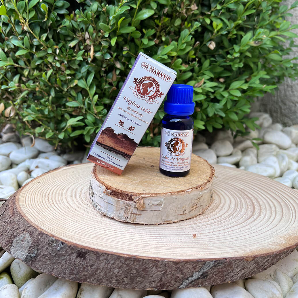 Uleiul esential de cedru de virginia – mod de obtinere si utilizari