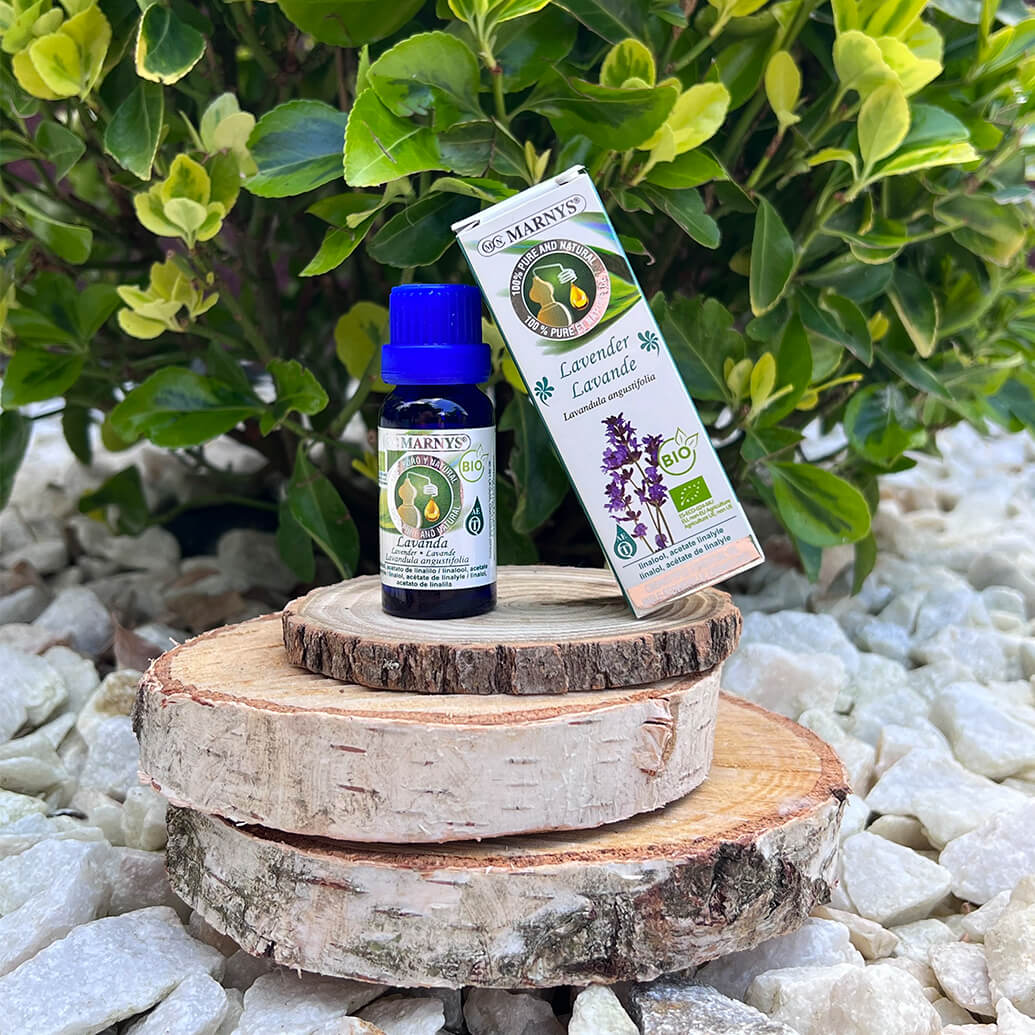 Uleiul esential de lavanda bio – mod de obtinere si utilizari Uleiul esential de lavanda bio – mod de obtinere si utilizari