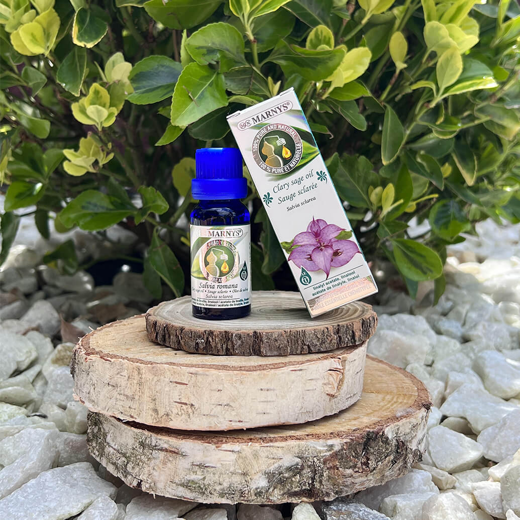 Uleiul esential de salvia sclarea – favorizeaza relaxarea psihica si echilibrarea emotionala Uleiul esential de salvia sclarea – favorizeaza relaxarea psihica si echilibrarea emotionala