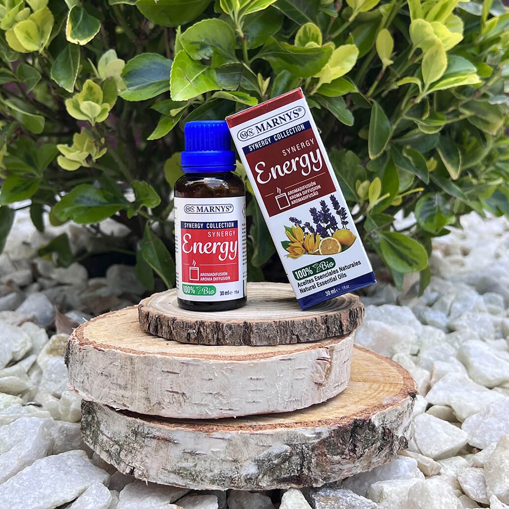 Synergy energy - mod de obtinere si intrebuintari