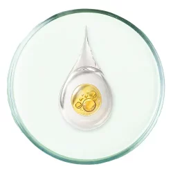 Acid hialuronic Acid hialuronic