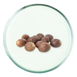 Unt de shea Unt de shea