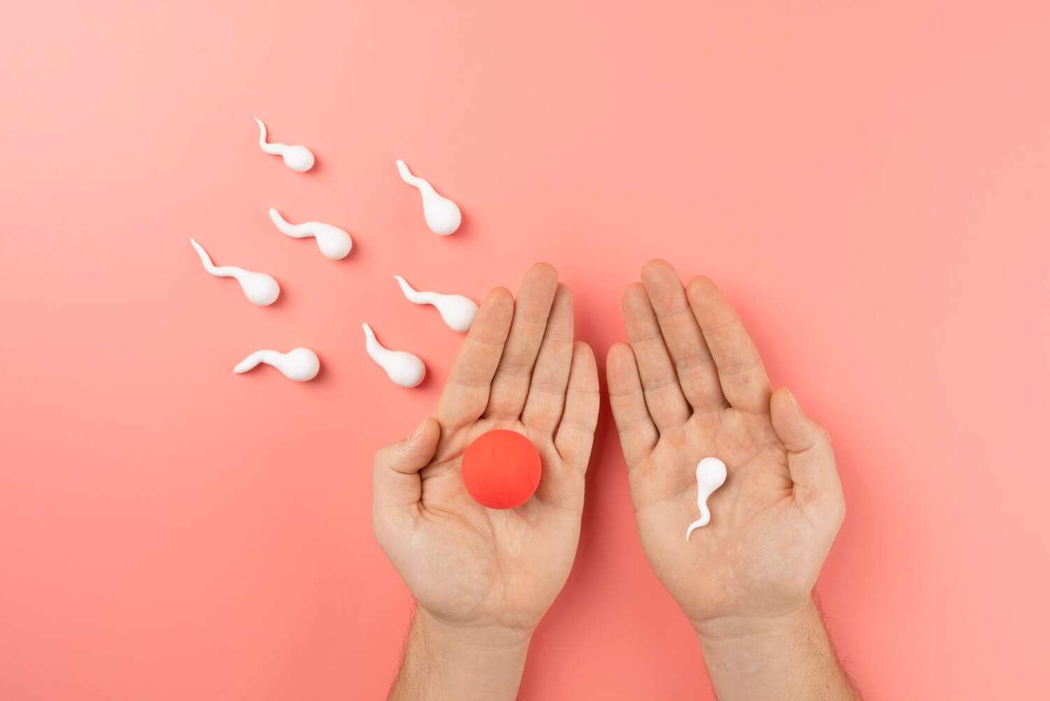 Infertilitate la barbati Infertilitate la barbati