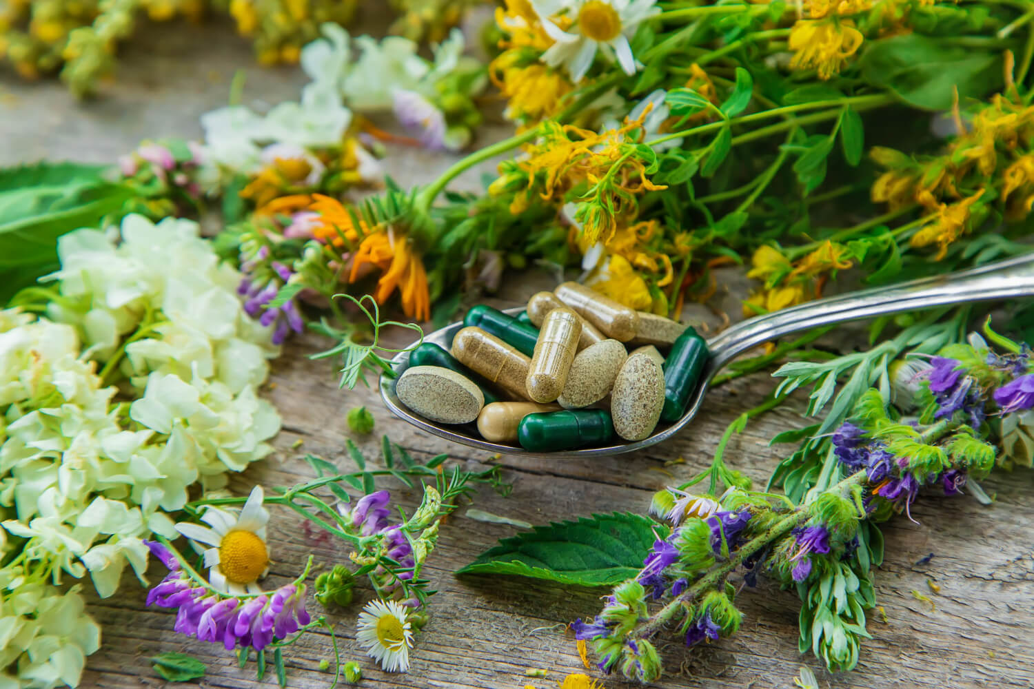 Antibiotice naturale impotriva e. Coli Antibiotice naturale impotriva e. Coli