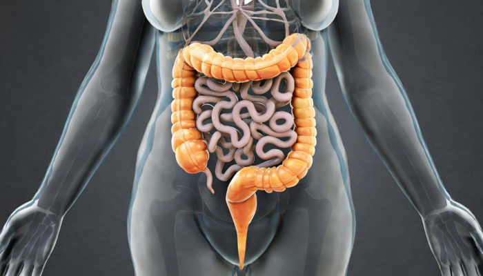 Polipi colorectali