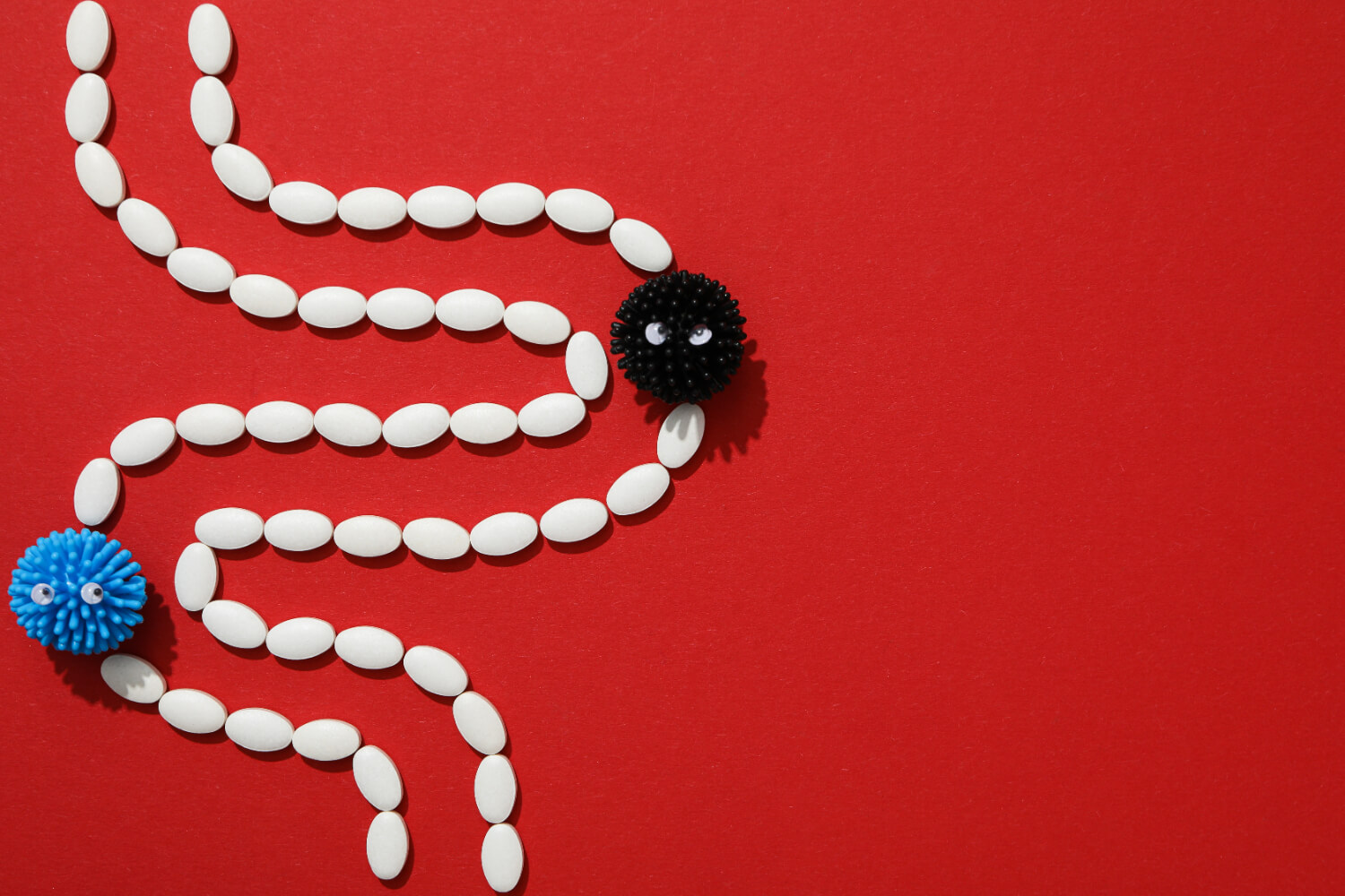 Alimente de evitat Alimente de evitat