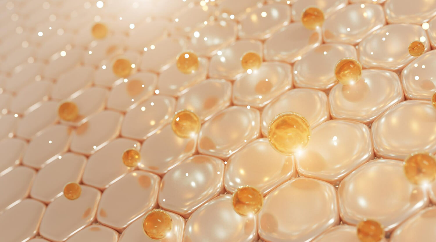 Cum este creat colagenul verisol Cum este creat colagenul verisol