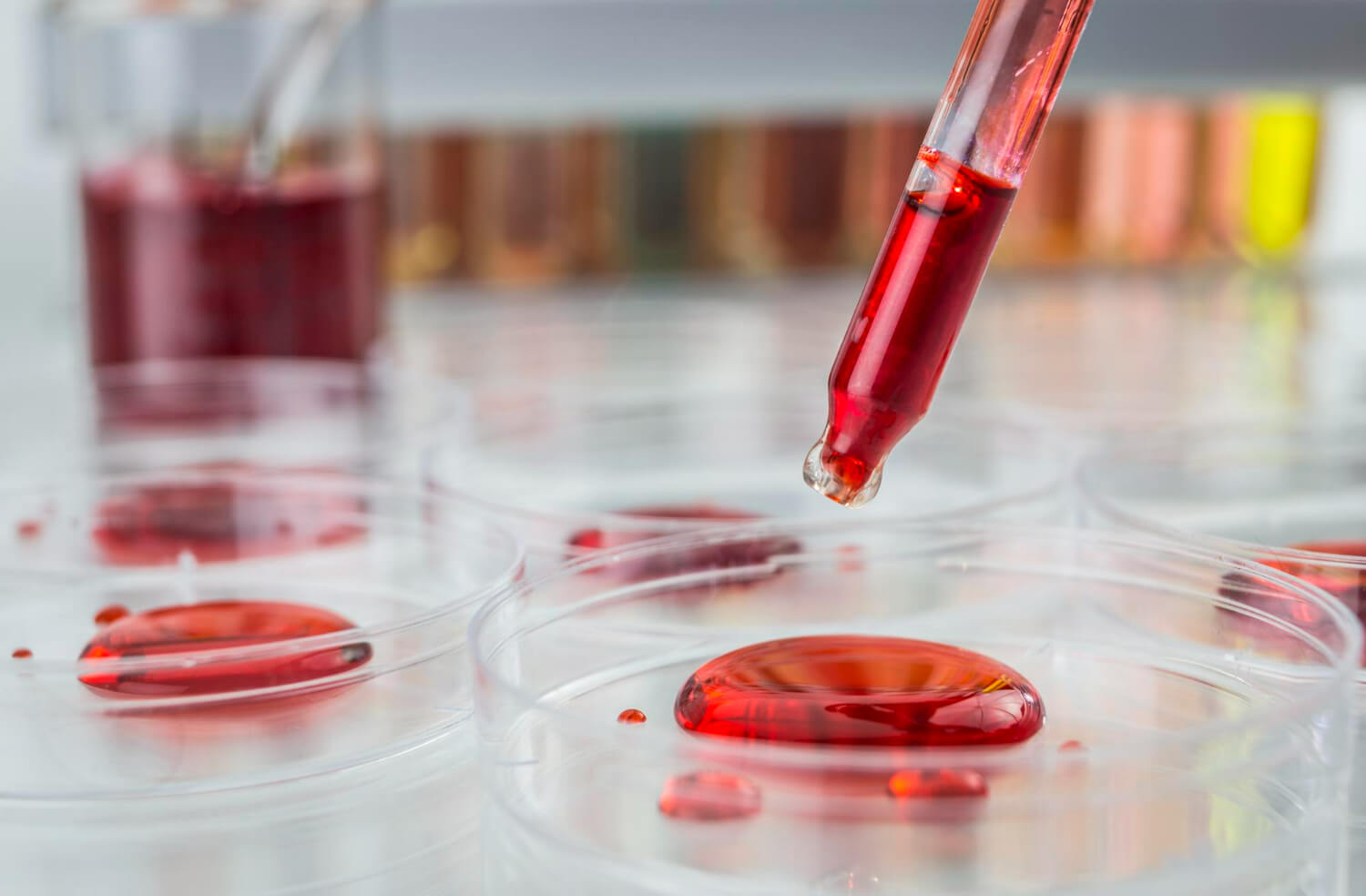 Functii sange Functii sange