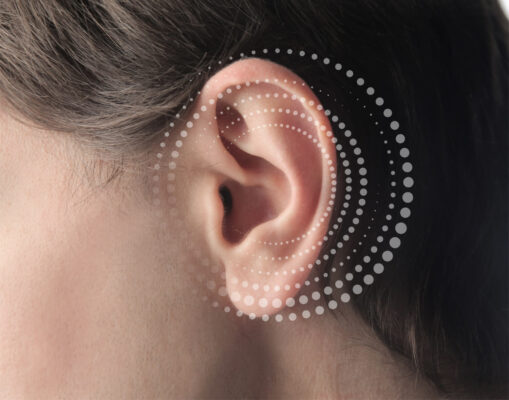 Urechea interna