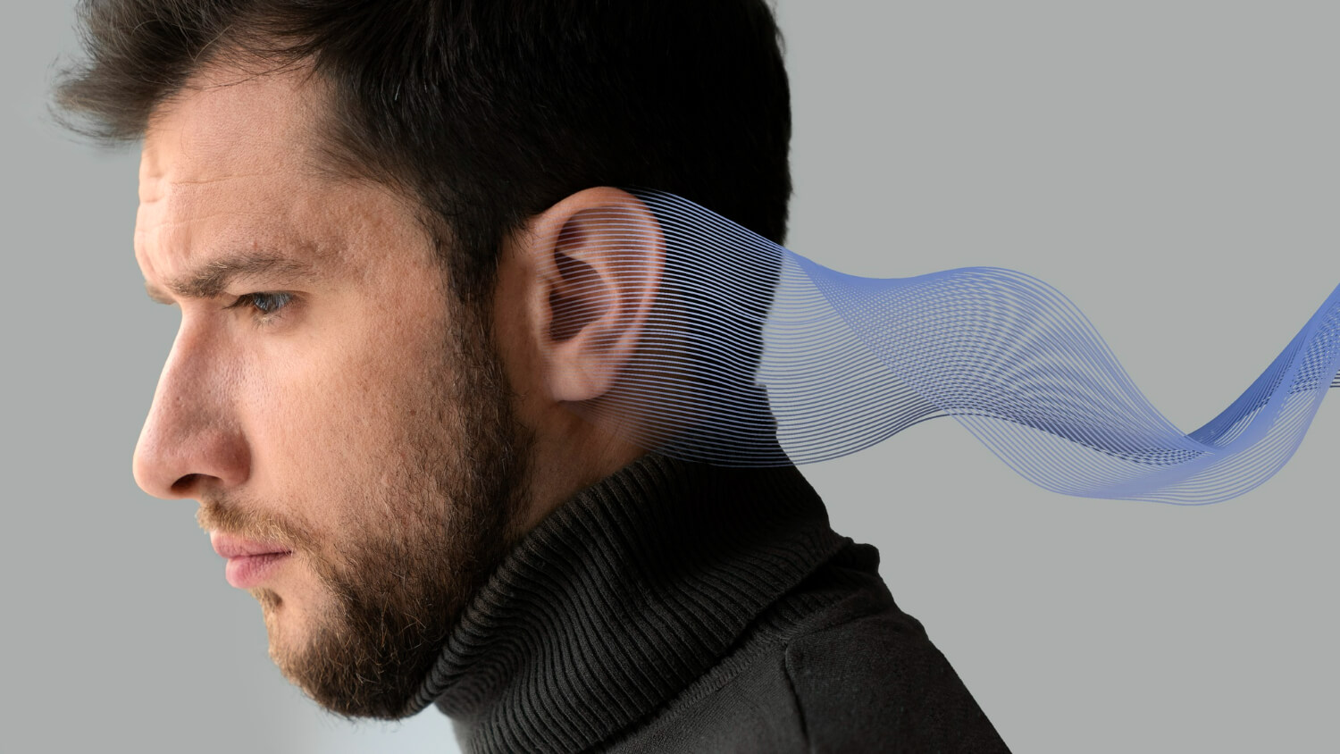 Functiile urechii interne Functiile urechii interne