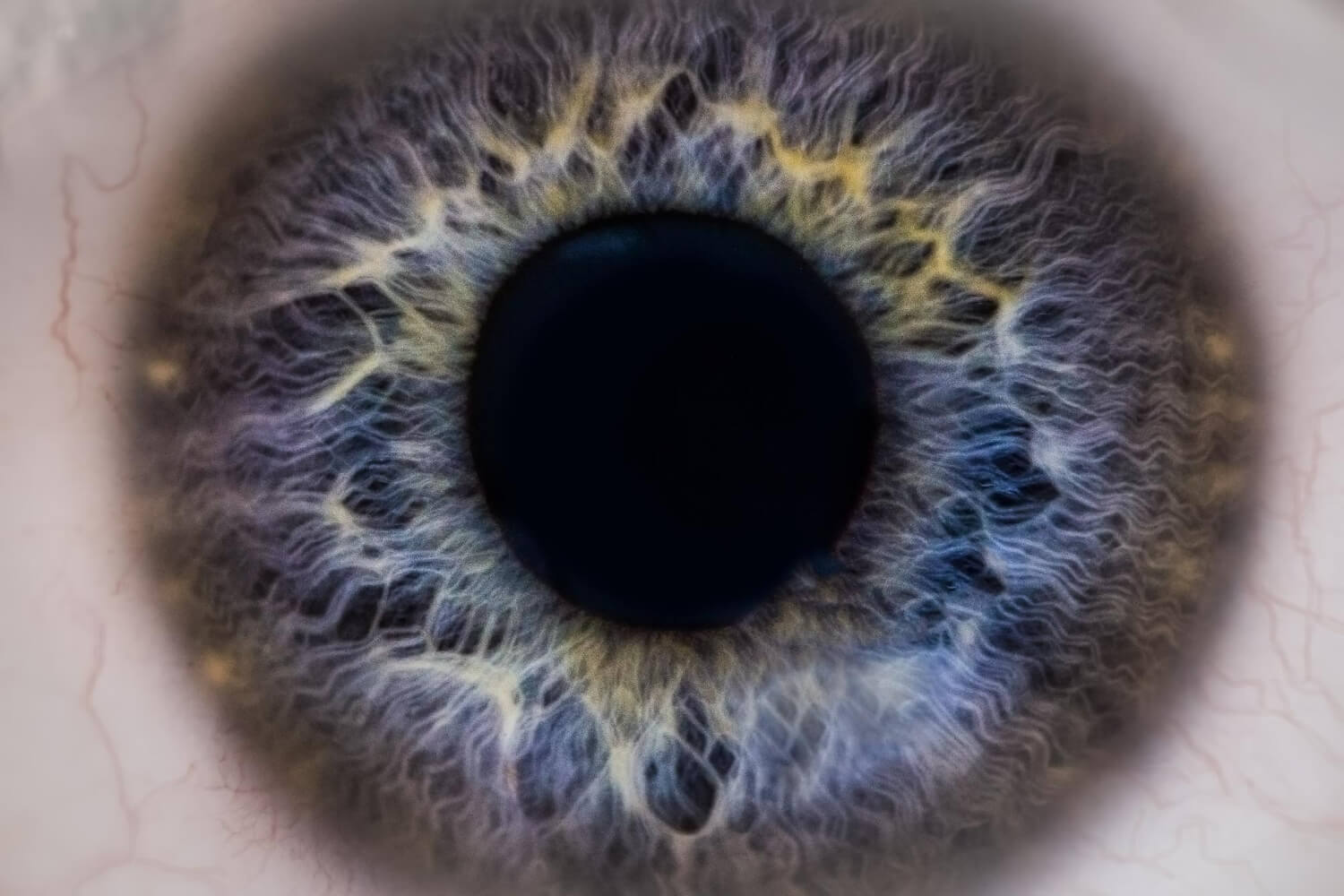 Ce este irisul Ce este irisul