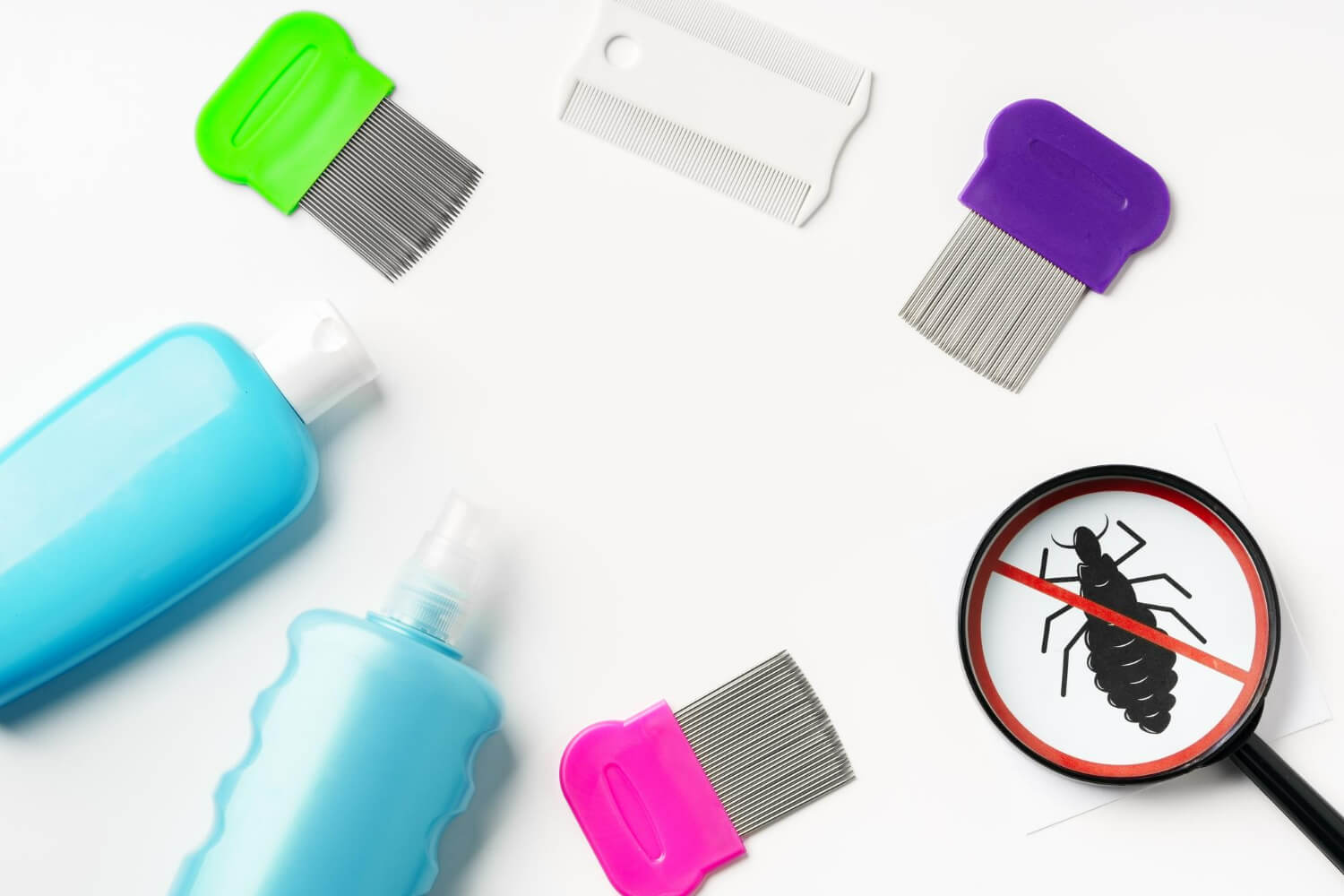 Remedii naturale paduchi Remedii naturale paduchi