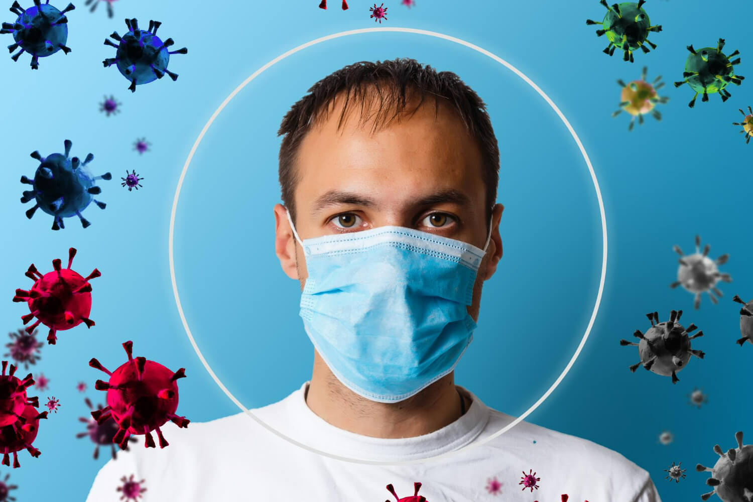 Sistem imunitar Sistem imunitar