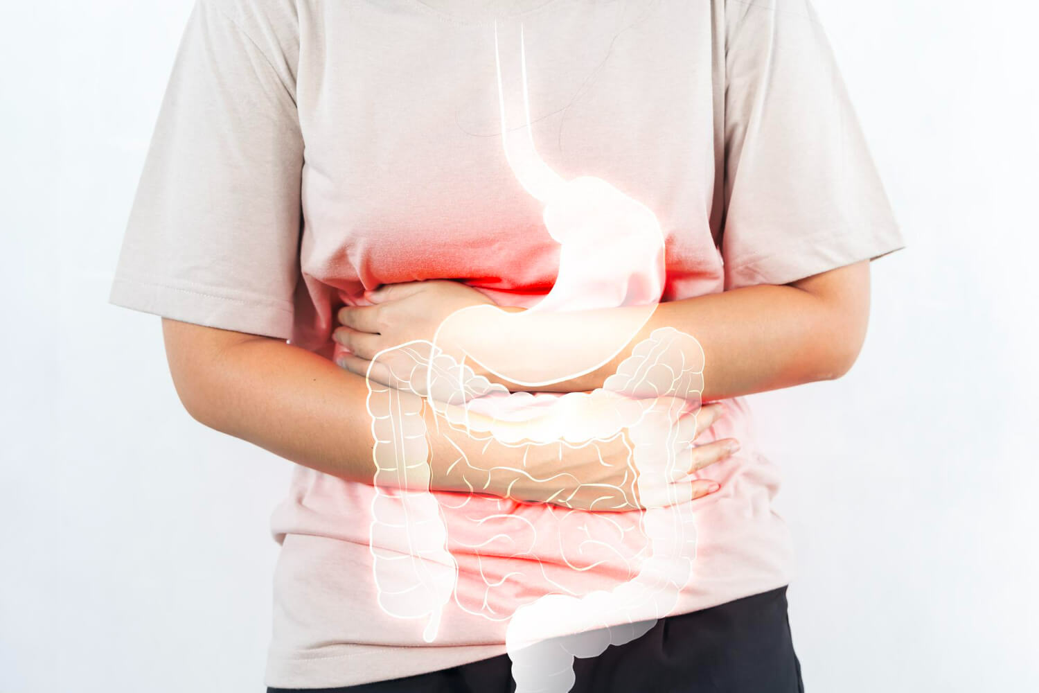 Sistem digestiv Sistem digestiv